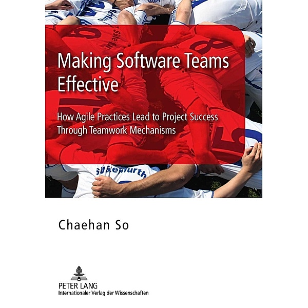 Making Software Teams Effective, Chaehan So