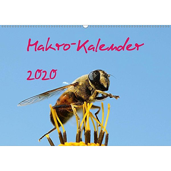 Makro-Kalender 2020 (Wandkalender 2020 DIN A2 quer), Bernd Witkowski