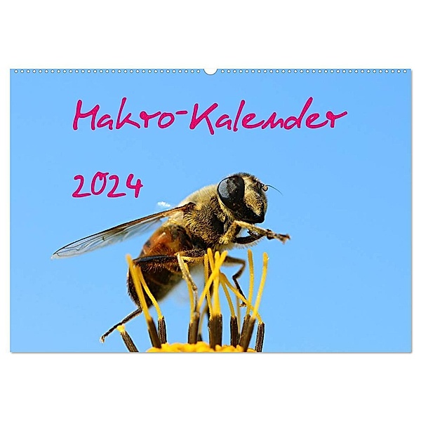Makro-Kalender 2024 (Wandkalender 2024 DIN A2 quer), CALVENDO Monatskalender, Bernd Witkowski
