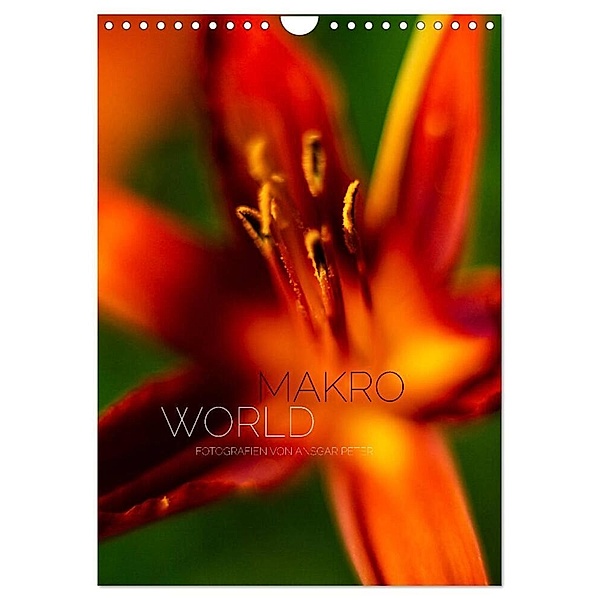 Makro World (Wandkalender 2024 DIN A4 hoch), CALVENDO Monatskalender, Ansgar Peter