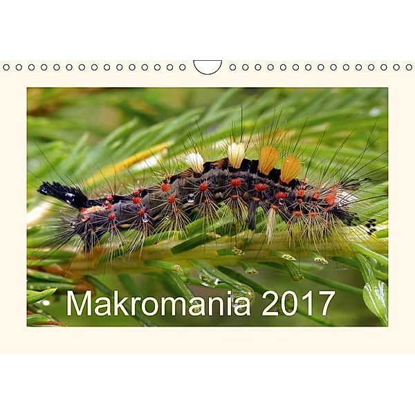 Makromania 2017 (Wandkalender 2017 DIN A4 quer), Leon