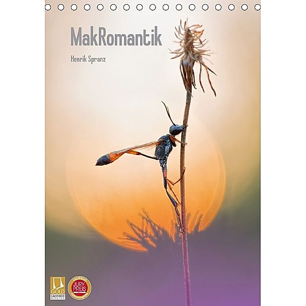 MakRomantik (Tischkalender 2018 DIN A5 hoch), Henrik Spranz