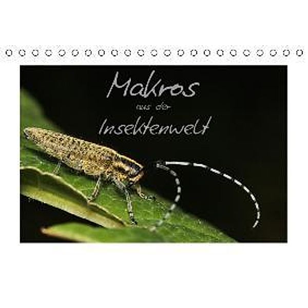Makros aus der Insektenwelt (Tischkalender 2016 DIN A5 quer), Klaus Gerken