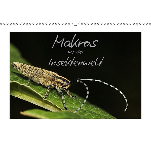 Makros aus der Insektenwelt (Wandkalender 2018 DIN A3 quer), Klaus Gerken