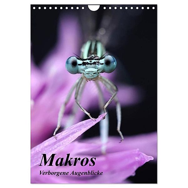 Makros - Verborgene Augenblicke (Wandkalender 2025 DIN A4 hoch), CALVENDO Monatskalender, Calvendo, Michael Hruschka Photography