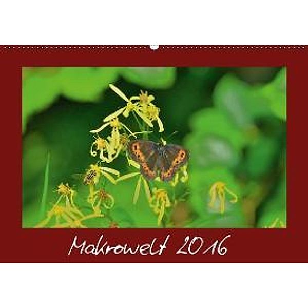 Makrowelt 2016 (Wandkalender 2016 DIN A2 quer), Gerald Just