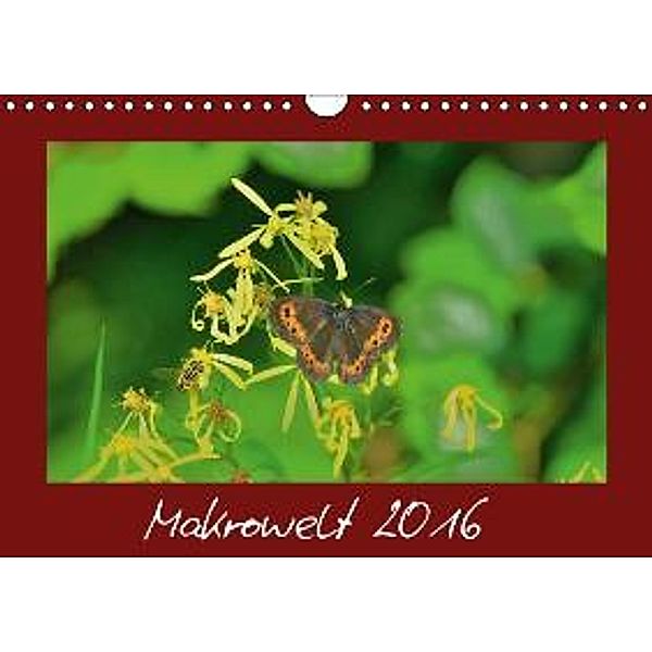 Makrowelt 2016 (Wandkalender 2016 DIN A4 quer), Gerald Just