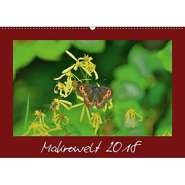 Makrowelt 2018 (Wandkalender 2018 DIN A2 quer), Gerald Just