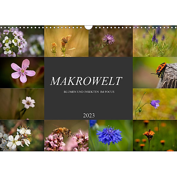 Makrowelt - Blumen und Insekten im Focus (Wandkalender 2023 DIN A3 quer), Simone Mairhofer