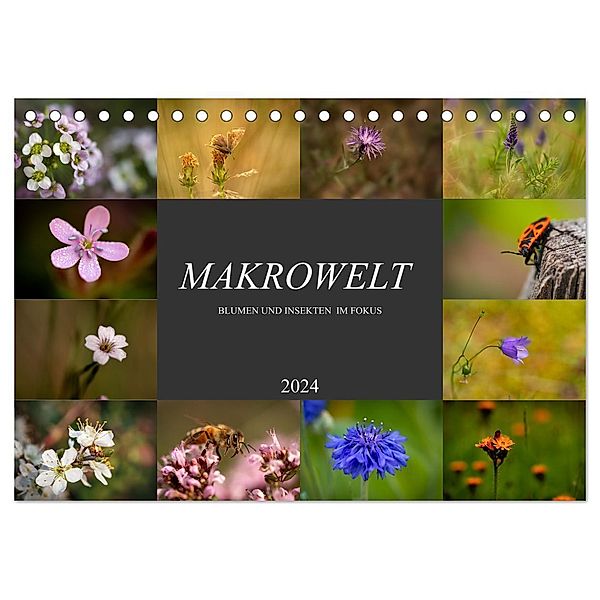 Makrowelt - Blumen und Insekten im Fokus (Tischkalender 2024 DIN A5 quer), CALVENDO Monatskalender, Simone Mairhofer