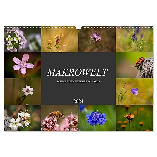 Makrowelt - Blumen und Insekten im Fokus (Wandkalender 2024 DIN A3 quer), CALVENDO Monatskalender, Simone Mairhofer