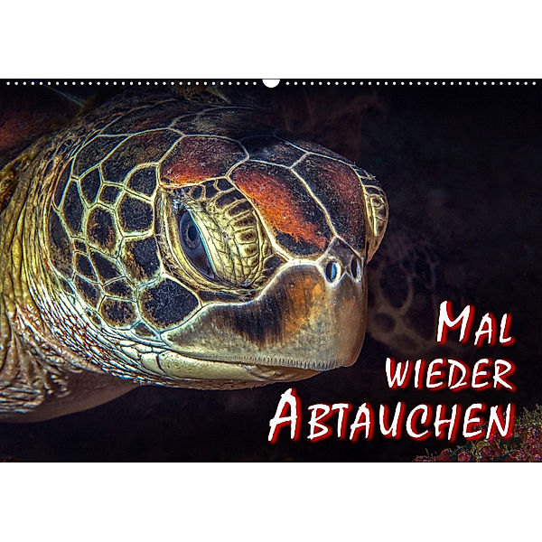 Mal wieder Abtauchen (Wandkalender 2019 DIN A2 quer), Dieter Gödecke