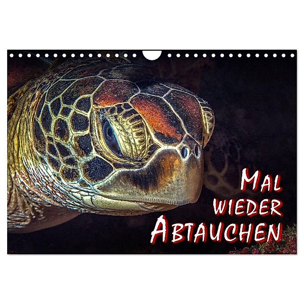 Mal wieder Abtauchen (Wandkalender 2024 DIN A4 quer), CALVENDO Monatskalender, Dieter Gödecke