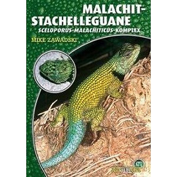 Malachit Stachelleguane, Mike Zawadski