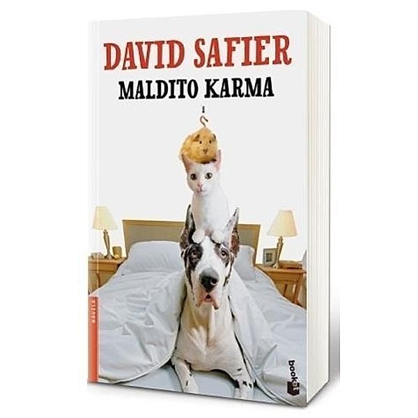 Maldito karma, David Safier