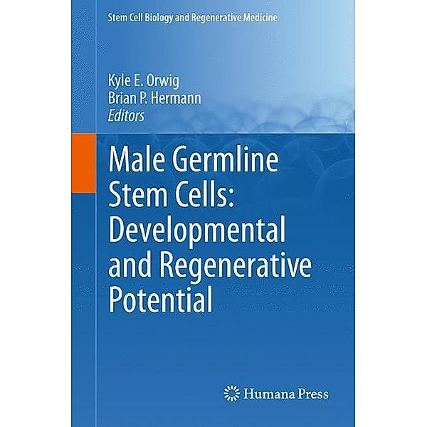 Male Germline Stem Cells