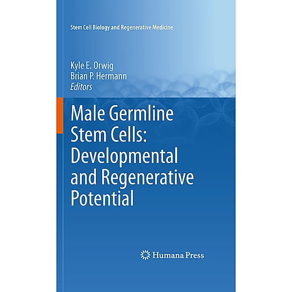 Male Germline Stem Cells: Developmental and Regenerative Potential