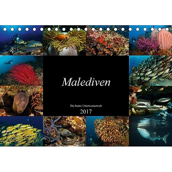 Malediven - Die bunte Unterwasserwelt (Tischkalender 2017 DIN A5 quer), Martin H. Kraus