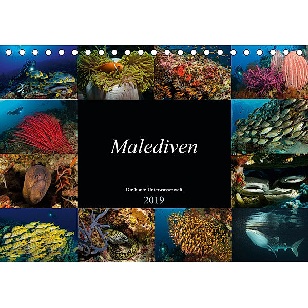 Malediven - Die bunte Unterwasserwelt (Tischkalender 2019 DIN A5 quer), Martin H. Kraus
