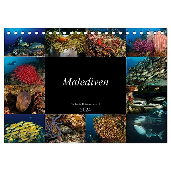 Malediven - Die bunte Unterwasserwelt (Tischkalender 2024 DIN A5 quer), CALVENDO Monatskalender, Martin H. Kraus