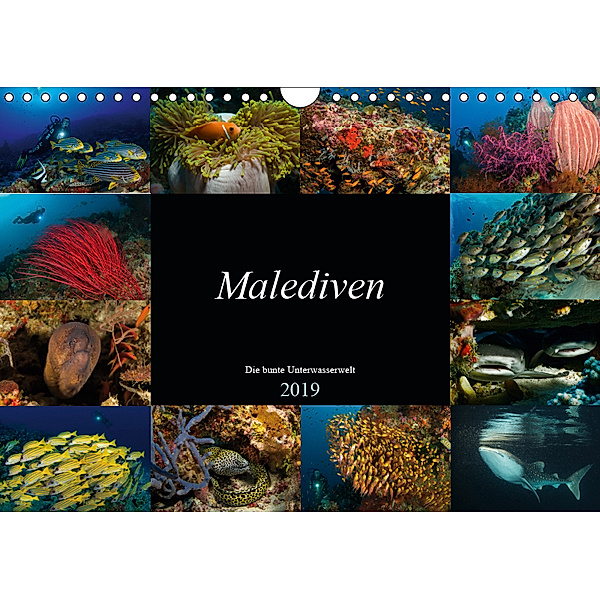 Malediven - Die bunte Unterwasserwelt (Wandkalender 2019 DIN A4 quer), Martin H. Kraus