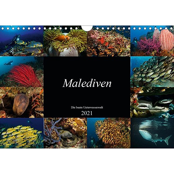 Malediven - Die bunte Unterwasserwelt (Wandkalender 2021 DIN A4 quer), Martin H. Kraus