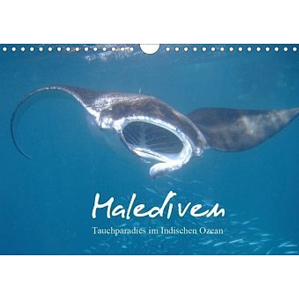 Malediven - Tauchparadies im Indischen Ozean (Wandkalender 2020 DIN A4 quer), Juergen Schonnop