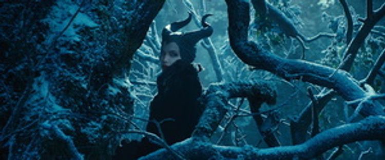 Maleficent - Die dunkle Fee DVD bei Weltbild.ch bestellen