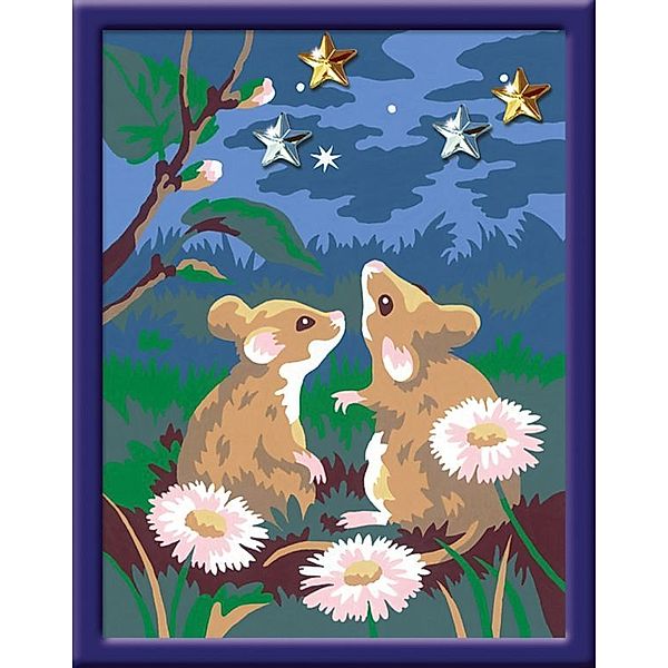 Malen nach Zahlen - Jeder kann malen (Mal-Sets), Bildgröße: 13 x 18 cm: Sternklare Mäusenacht