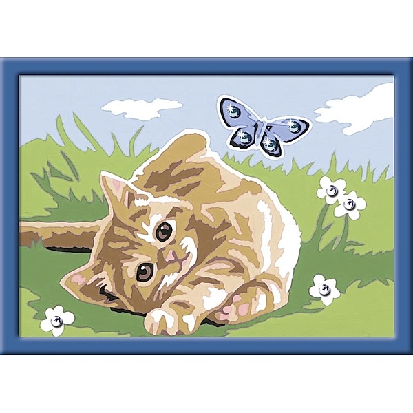 Malen nach Zahlen - Jeder kann malen (Mal-Sets), Bildgröße: 13 x 18 cm: Kätzchen mit Schmetterling