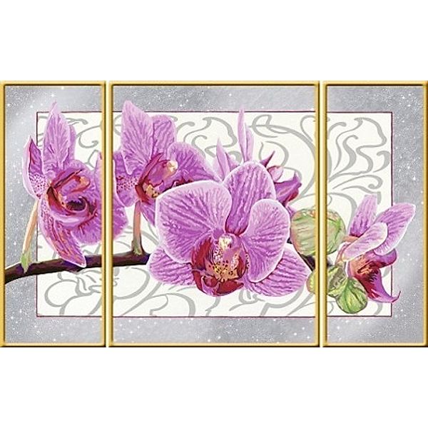 Malen nach Zahlen - Jeder kann malen (Mal-Sets): Wilde Orchidee