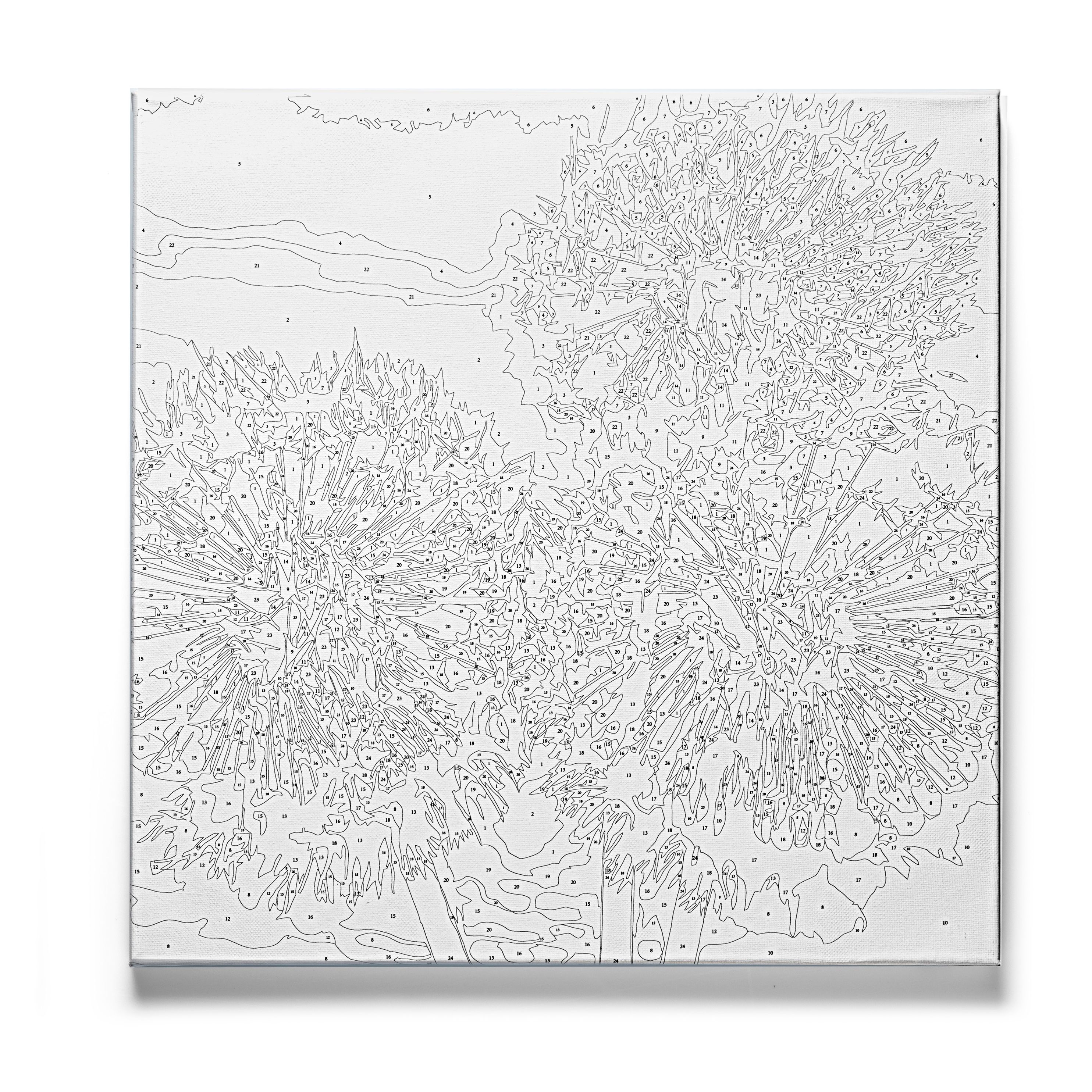 Malen nach Ziffern Pusteblumen 40 x 40 cm bestellen | Weltbild.at