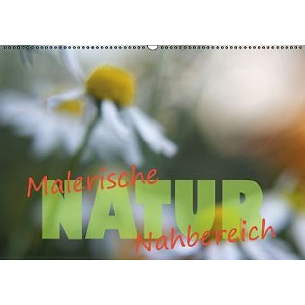 Maleriesche NATUR - Nahbereich (Wandkalender 2017 DIN A2 quer), Valerie Forster