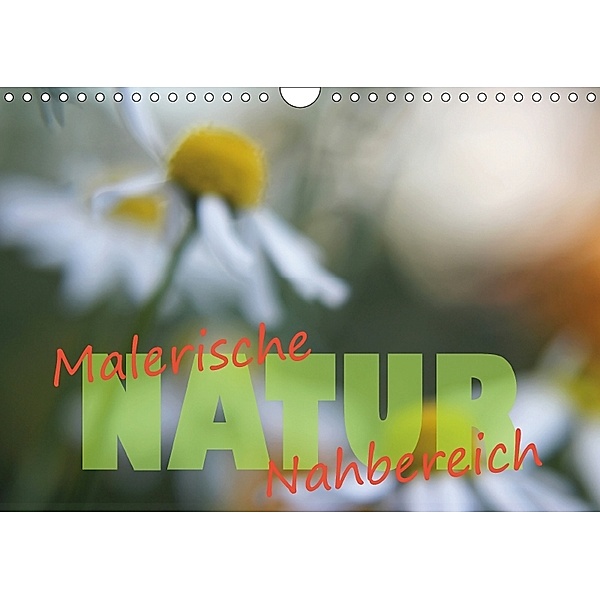 Maleriesche NATUR - Nahbereich (Wandkalender 2018 DIN A4 quer), Valerie Forster