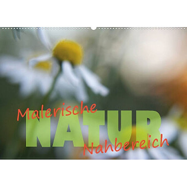 Maleriesche NATUR - Nahbereich (Wandkalender 2023 DIN A2 quer), Valerie Forster