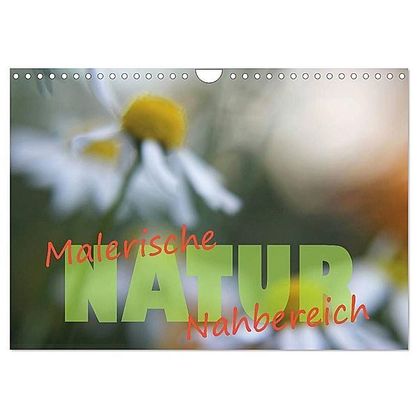 Maleriesche NATUR - Nahbereich (Wandkalender 2024 DIN A4 quer), CALVENDO Monatskalender, Valerie Forster