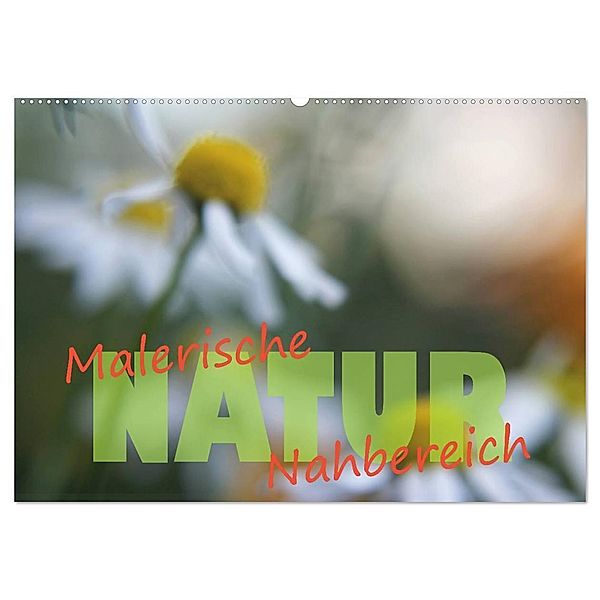 Maleriesche NATUR - Nahbereich (Wandkalender 2024 DIN A2 quer), CALVENDO Monatskalender, Valerie Forster