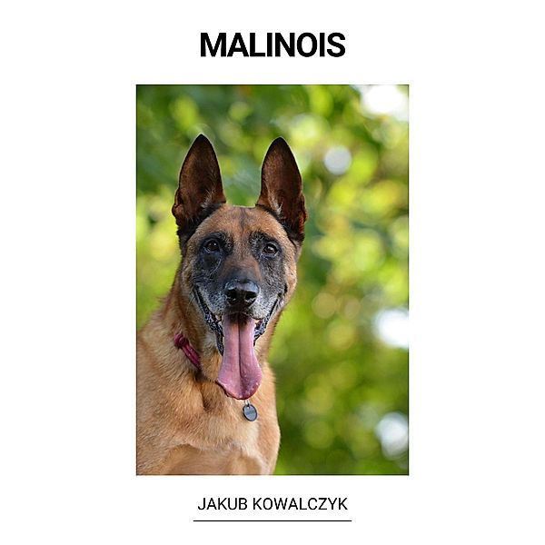 Malinois, Jakub Kowalczyk