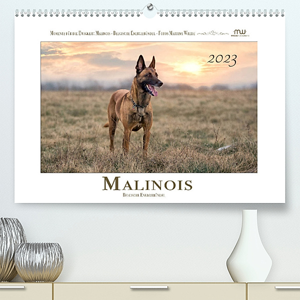 Malinois - Belgische Energiebündel (Premium, hochwertiger DIN A2 Wandkalender 2023, Kunstdruck in Hochglanz), Martina Wrede