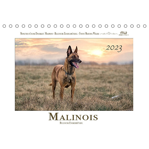 Malinois - Belgische Energiebündel (Tischkalender 2023 DIN A5 quer), Martina Wrede
