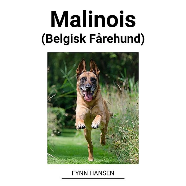 Malinois (Belgisk Fårehund), Fynn Hansen