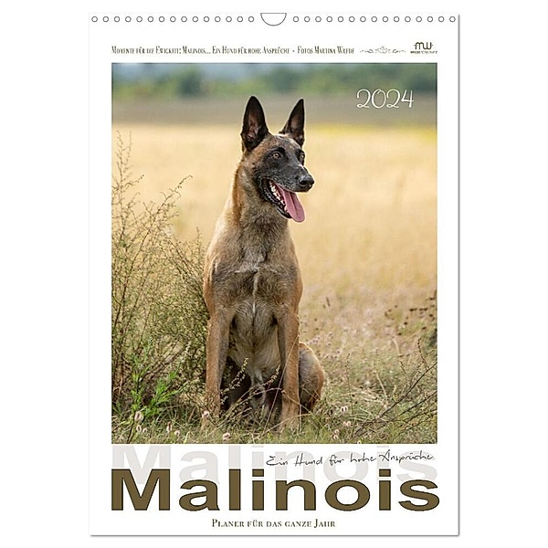 Malinois - Ein Hund für hohe Ansprüche (Wandkalender 2024 DIN A3 hoch), CALVENDO Monatskalender, Martina Wrede - Wredefotografie