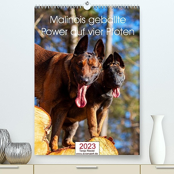 Malinois geballte Power auf vier PfotenAT-Version (Premium, hochwertiger DIN A2 Wandkalender 2023, Kunstdruck in Hochgla, Tanja Riedel