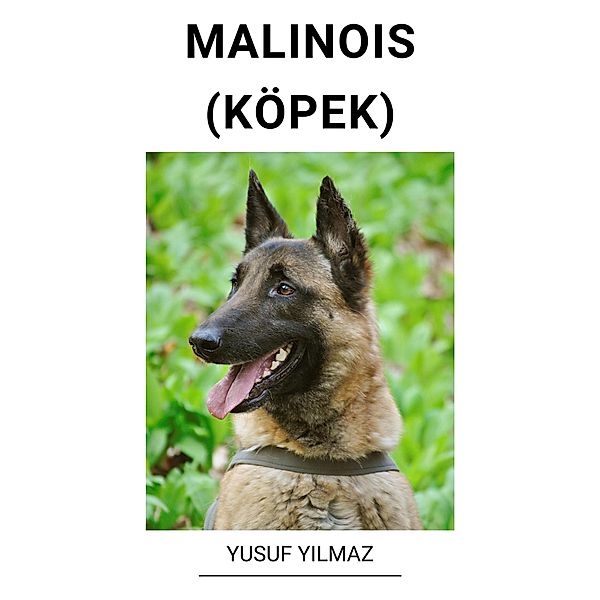 Malinois (Köpek), Yusuf Yilmaz