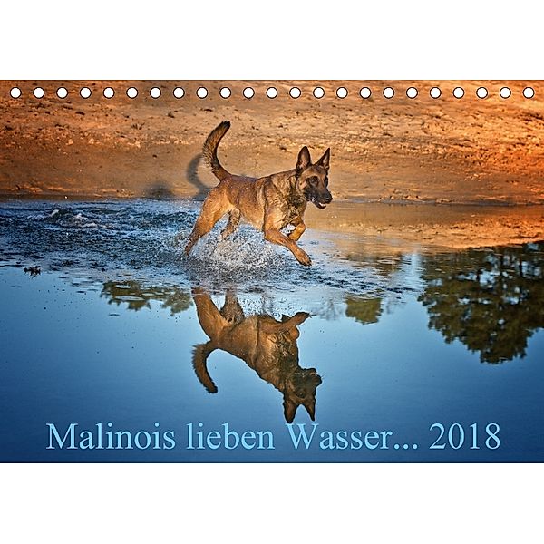 Malinois lieben Wasser (Tischkalender 2018 DIN A5 quer), Susanne Schwarzer