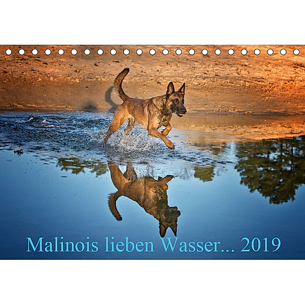 Malinois lieben Wasser (Tischkalender 2019 DIN A5 quer), Susanne Schwarzer