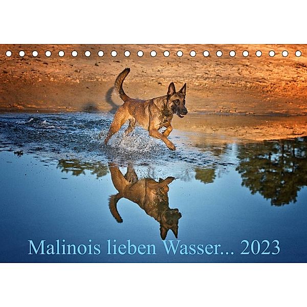 Malinois lieben Wasser (Tischkalender 2023 DIN A5 quer), Susanne Schwarzer