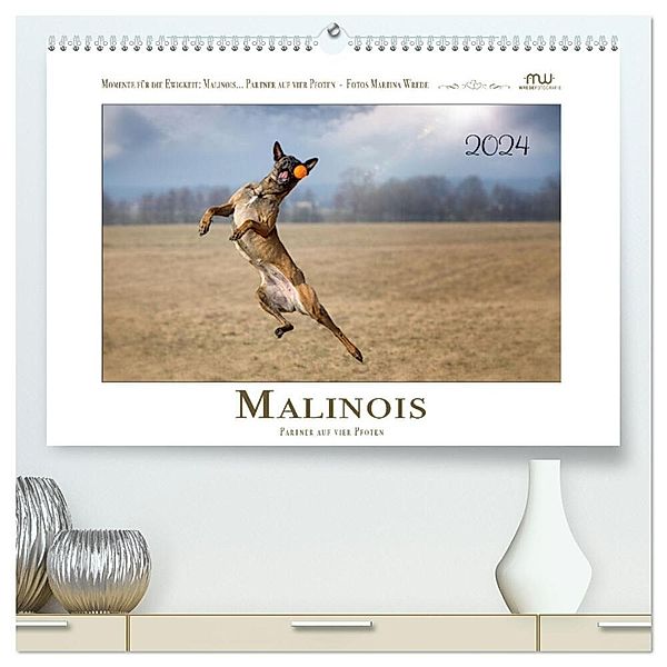 Malinois - Partner auf vier Pfoten (hochwertiger Premium Wandkalender 2024 DIN A2 quer), Kunstdruck in Hochglanz, Martina Wrede - Wredefotografie