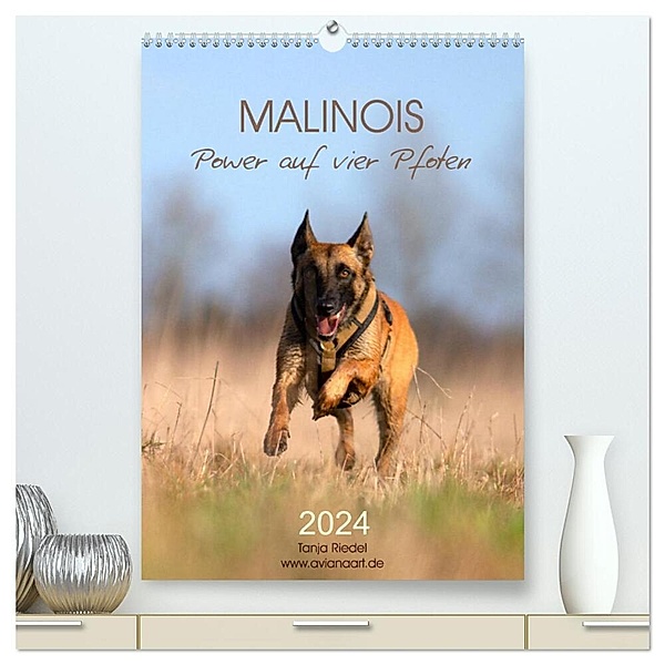 Malinois Power auf vier Pfoten (hochwertiger Premium Wandkalender 2024 DIN A2 hoch), Kunstdruck in Hochglanz, Tanja Riedel