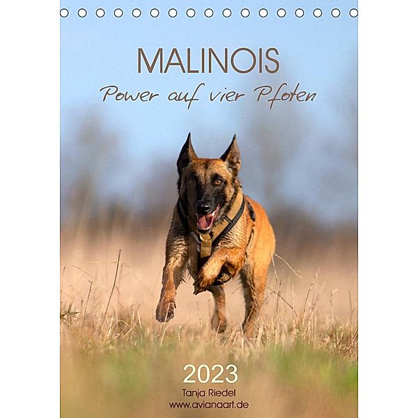 Malinois Power auf vier Pfoten (Tischkalender 2023 DIN A5 hoch), Tanja Riedel